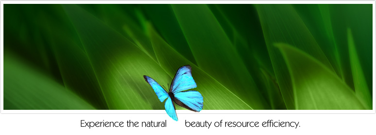 MorphOS