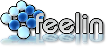 Feelin