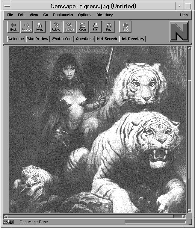 Netscape