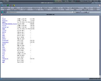Origyn Web Browser