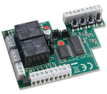 Raspberry Pi
