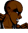 Shadow Fighter