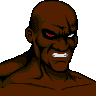 Shadow Fighter