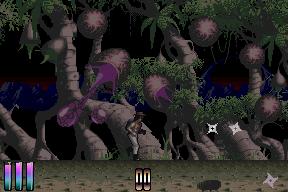 Shadow Of The Beast 3