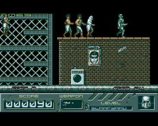 Cyber Cop