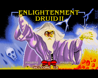 Enlightenment: Druid 2
