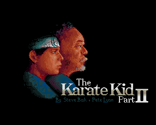 Karate Kid 2