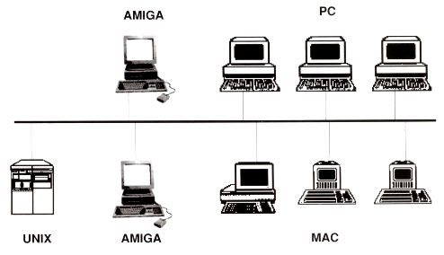 rseau Amiga