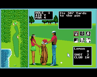 Tournament Golf