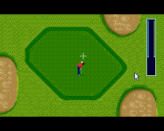 Tournament Golf