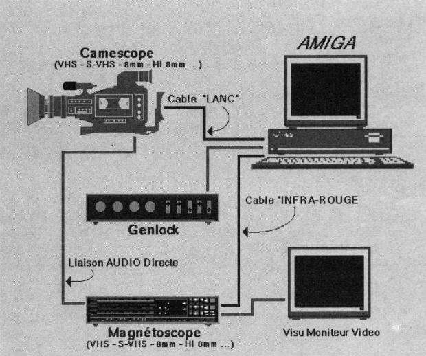 Video Director