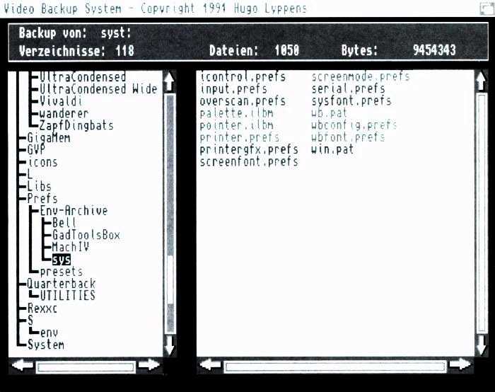 Video Backup System