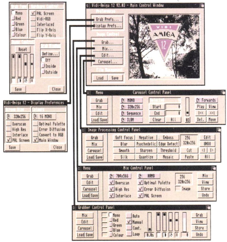Vidi Amiga 12
