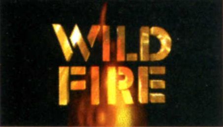 Wildfire