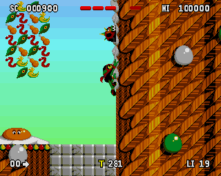 Zool 2