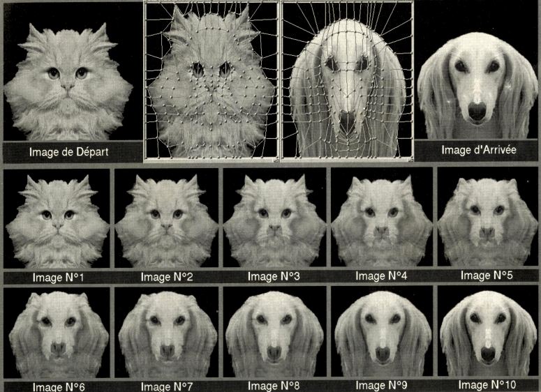 Cinemorph