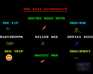 Insects In Space