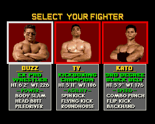Pit-Fighter