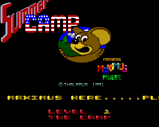 Summer Camp