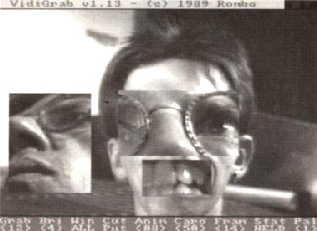 Vidi-Amiga