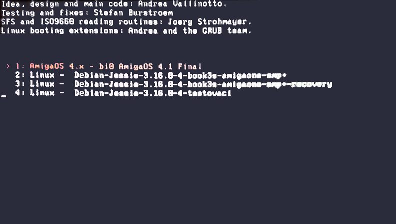Amiga NG