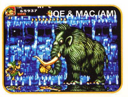 Joe & Mac