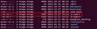 mulation Amiga sous Linux avec E-UAE