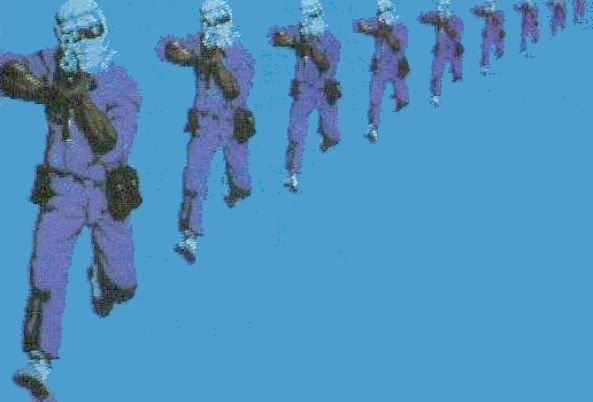 Operation Wolf