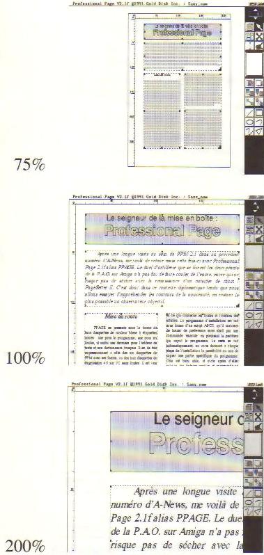 Professional Pgae 2.1f