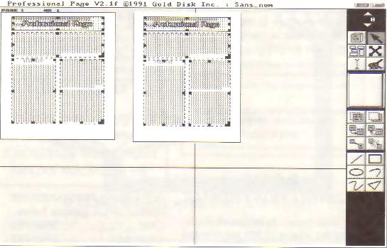 Professional Pgae 2.1f