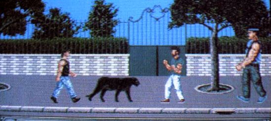 Wild Streets